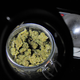 Image for article titled Study Shows Adults Who Can Legally Obtain Cannabis Use It as Substitute for Opioids and Other Prescription Drugs